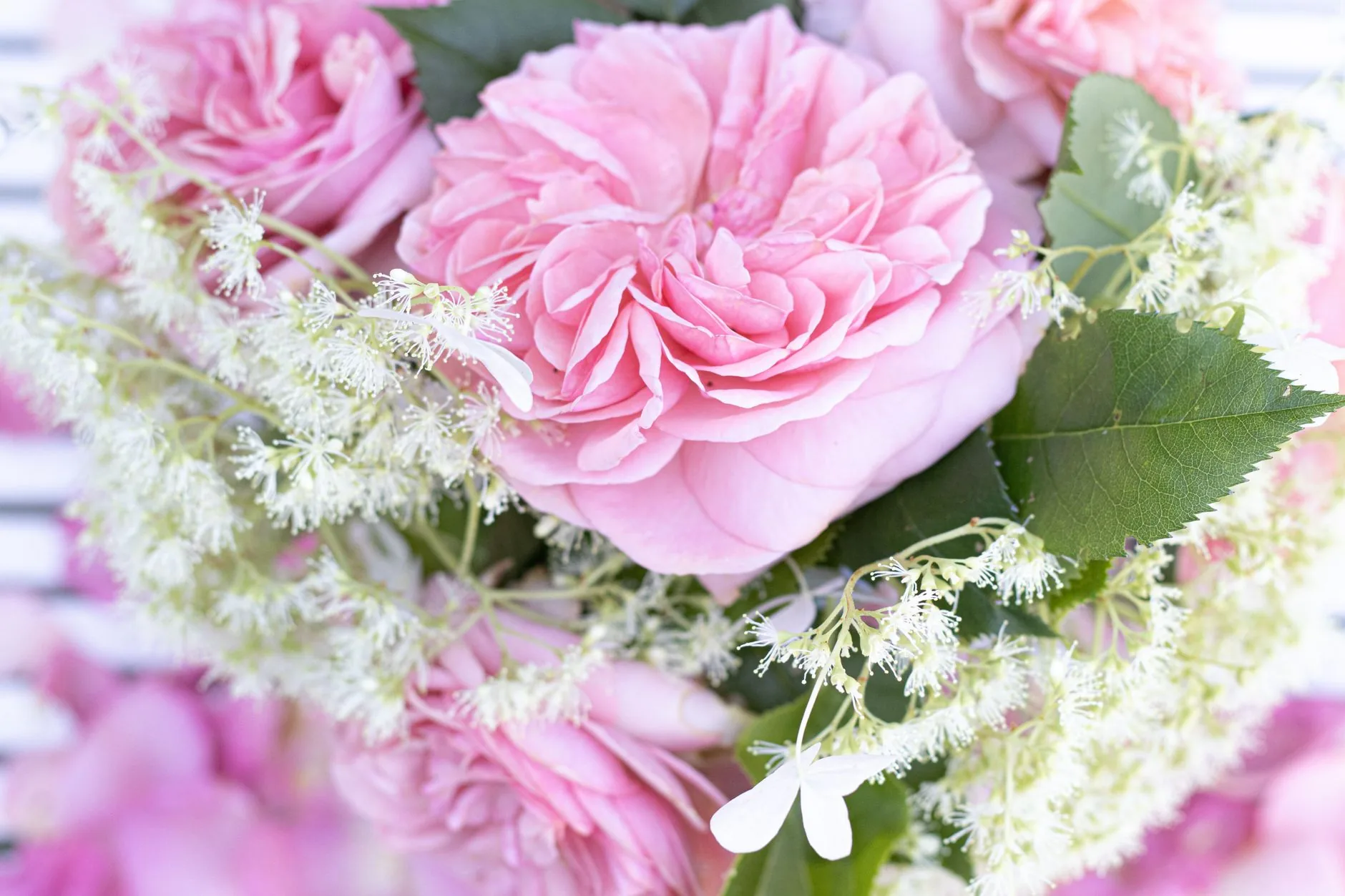 Délicat bouquet de roses roses avec touches de blanc pour ambiance fleur arome