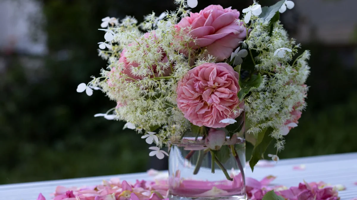 Le langage des fleurs : symboliques, origines et floraisons réelles en France