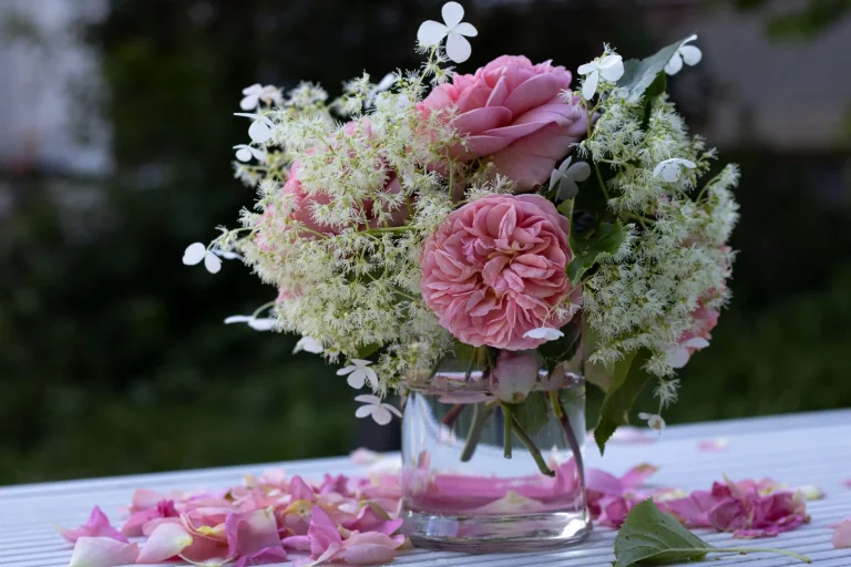 Le langage des fleurs : symboliques, origines et floraisons réelles en France
