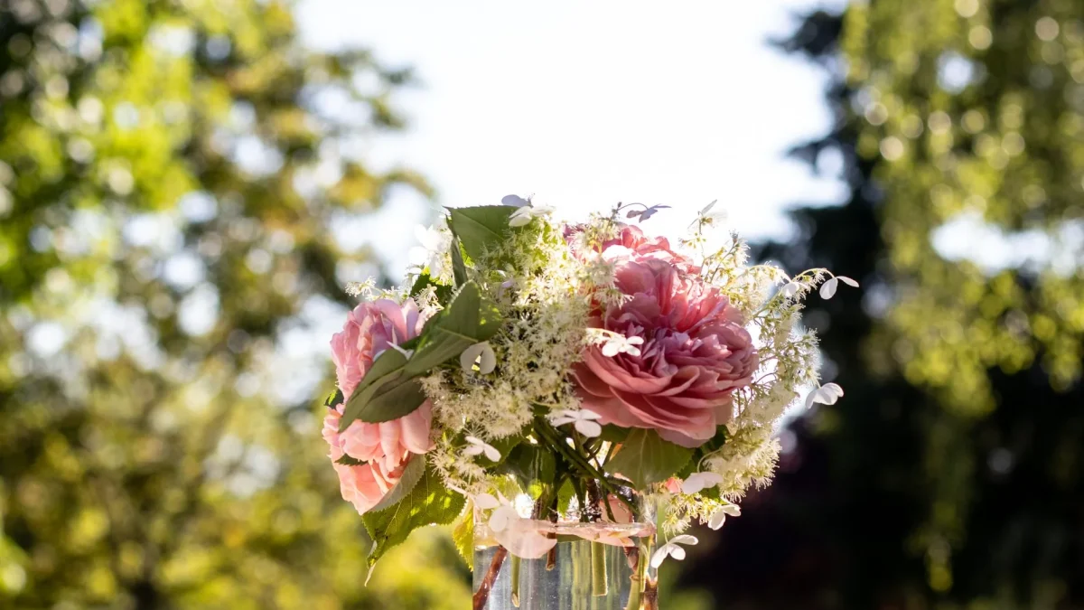 La pivoine : cycle végétal, reconnaissance sur le terrain et traditions florales