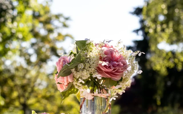 La pivoine : cycle végétal, reconnaissance sur le terrain et traditions florales