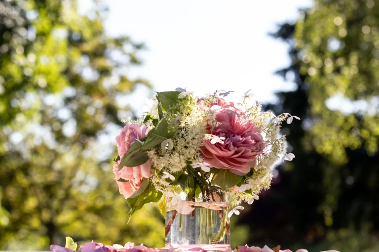 La pivoine : cycle végétal, reconnaissance sur le terrain et traditions florales