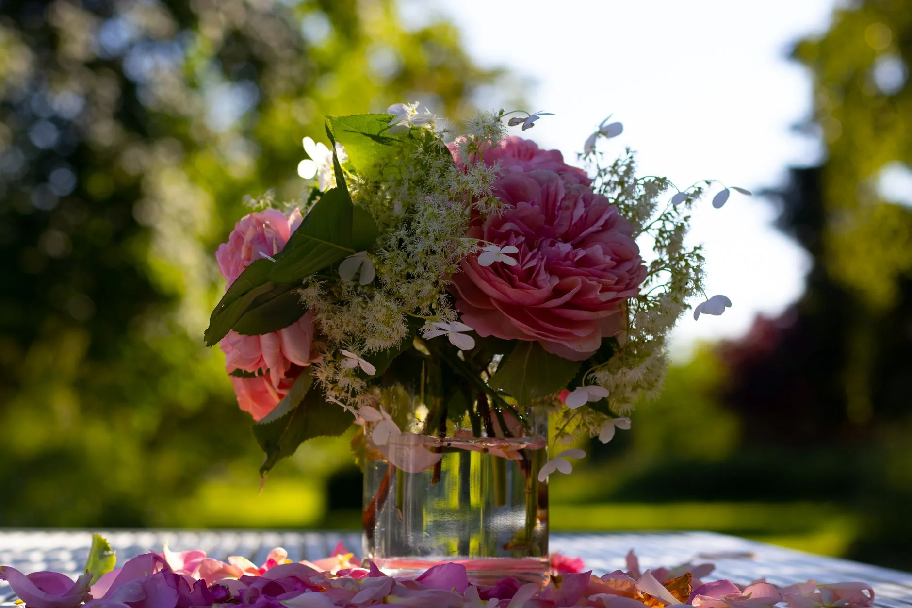 Arrangement floral de pivoines roses et blanches en pleine floraison printanière